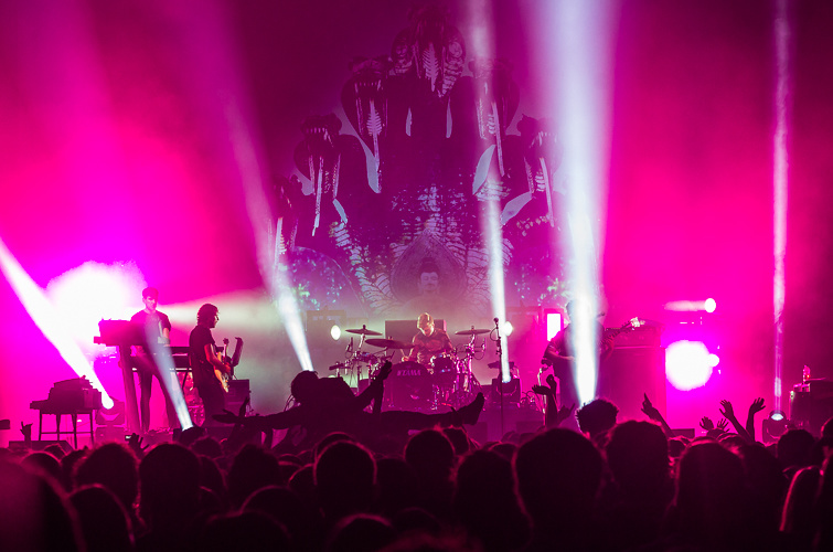 Foals
