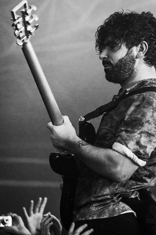 Foals