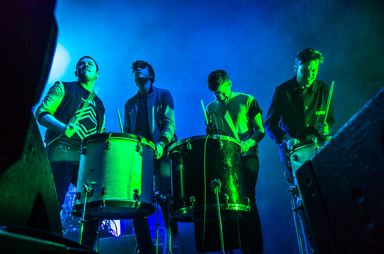 Foals