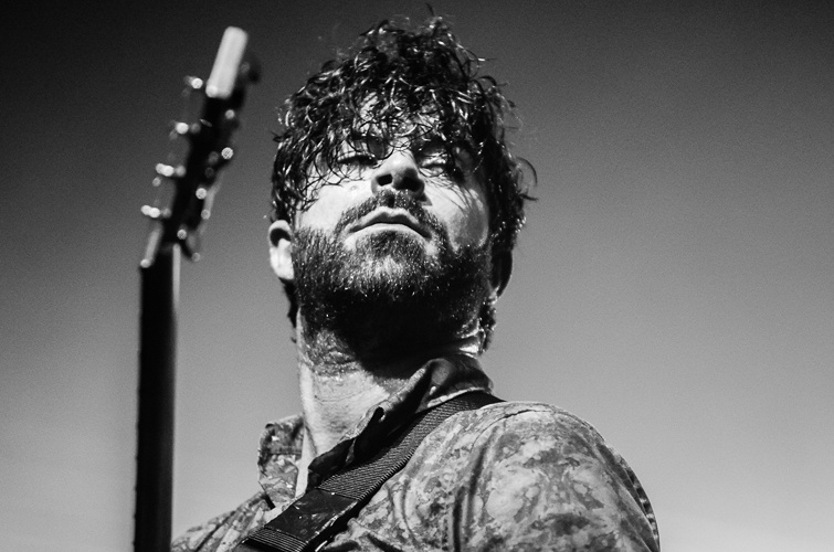 Foals