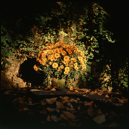 Père Lachaise