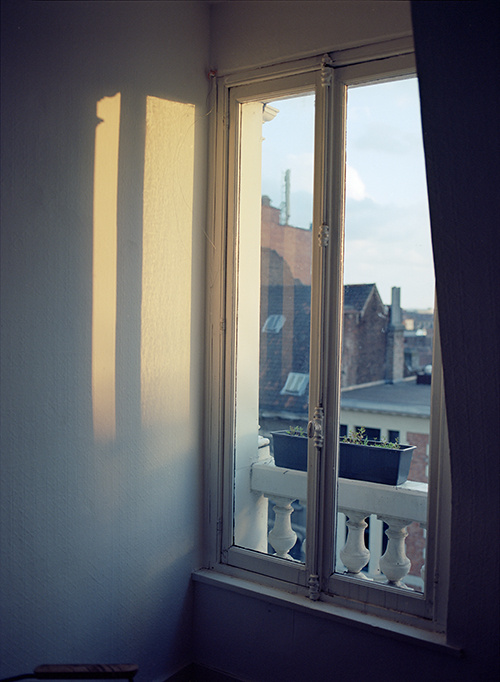 Window light