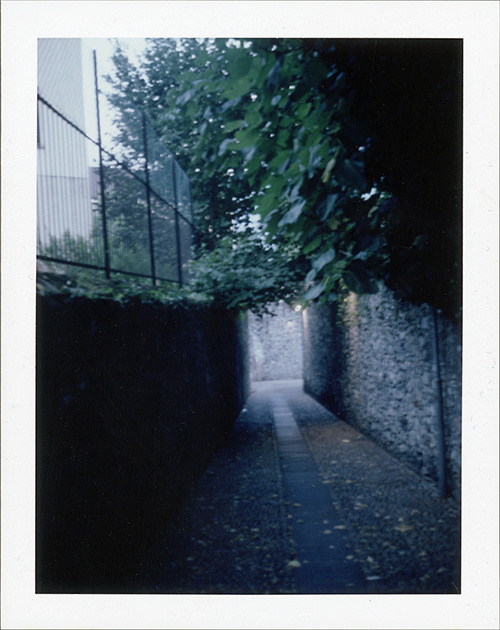 Cobblestone Pathway